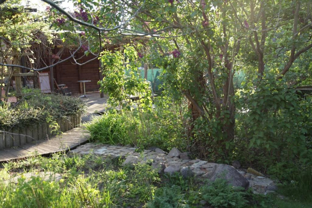 Ferienwohnung In Peetzig Am See Angermunde Exteriér fotografie