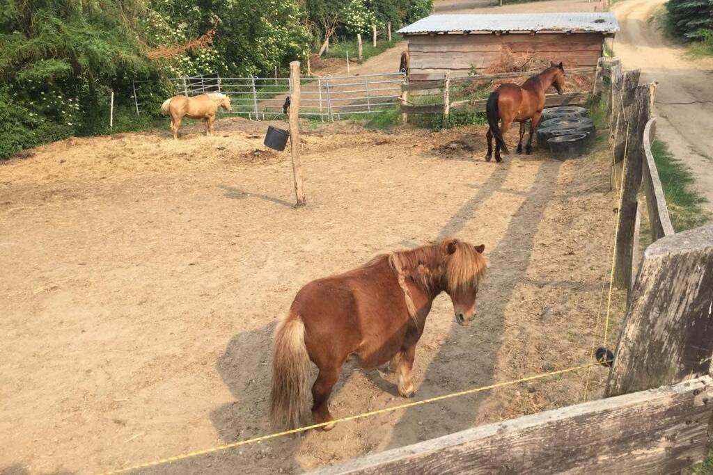 Ferienwohnung In Peetzig Am See Angermunde Exteriér fotografie