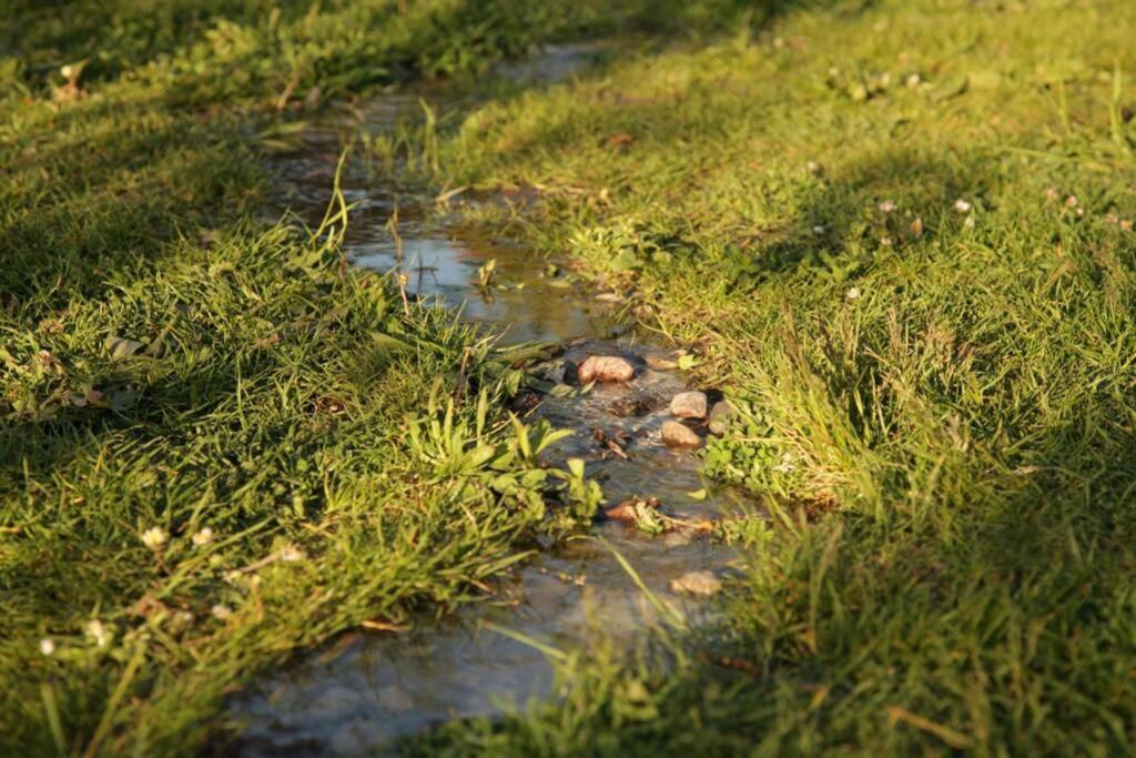 Ferienwohnung In Peetzig Am See Angermunde Exteriér fotografie