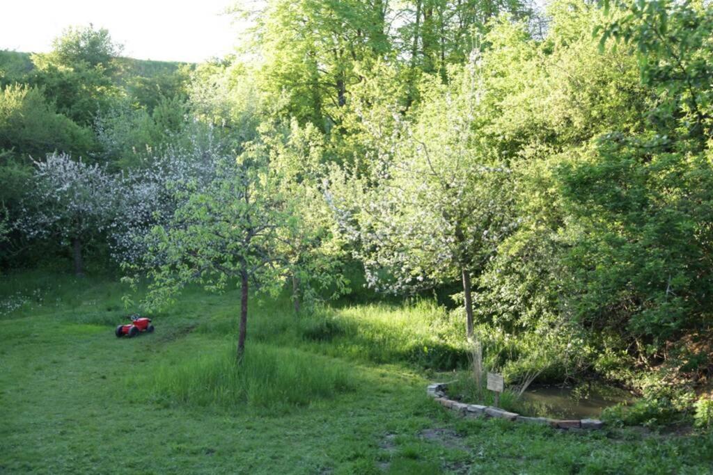 Ferienwohnung In Peetzig Am See Angermunde Exteriér fotografie